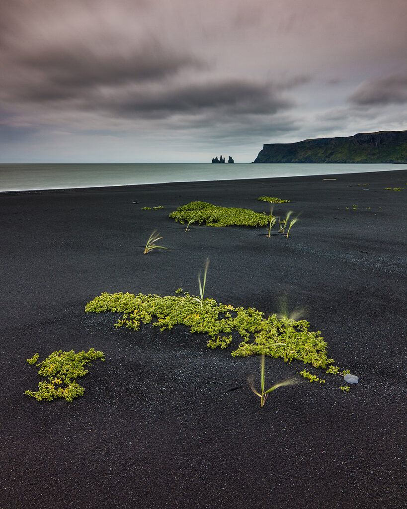 Reynisfjara beach, iceland 0903