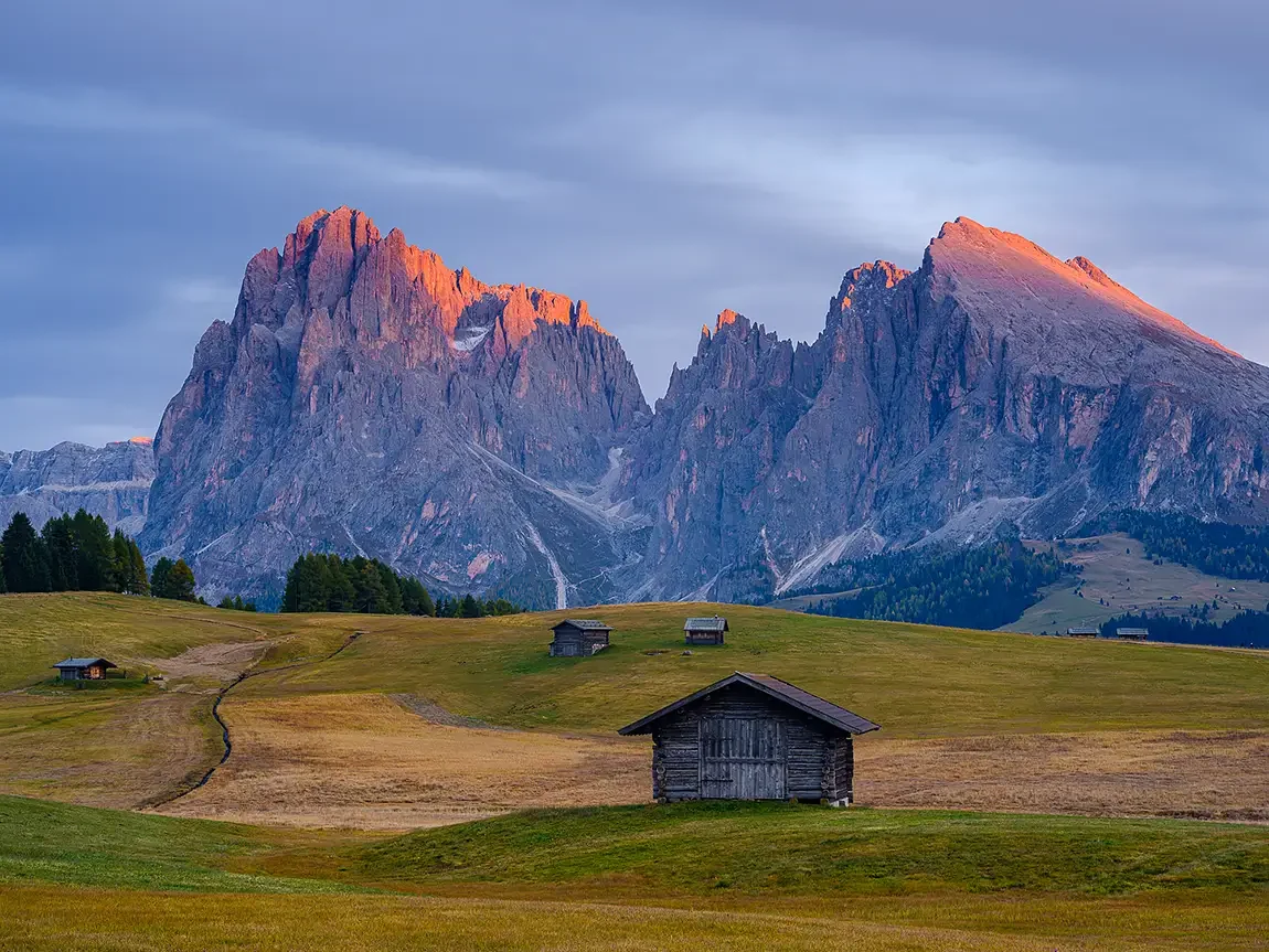 Alpe di siusi, dolomites, italy 9817